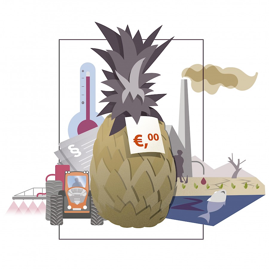 Eine Ananas mit dem Preisschild "€,00" steht vor Symbolen der Umweltvermutzung (vergiftetes Wasser, rauchender Schornstein, Traktor beim Ausbringen von Pestiziden etc.)